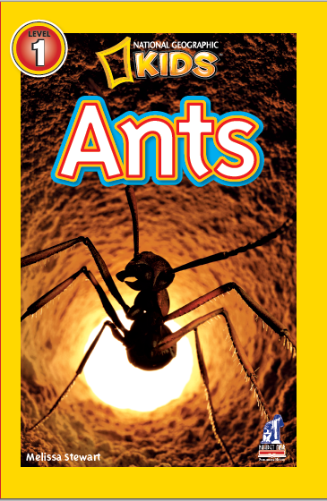Ants